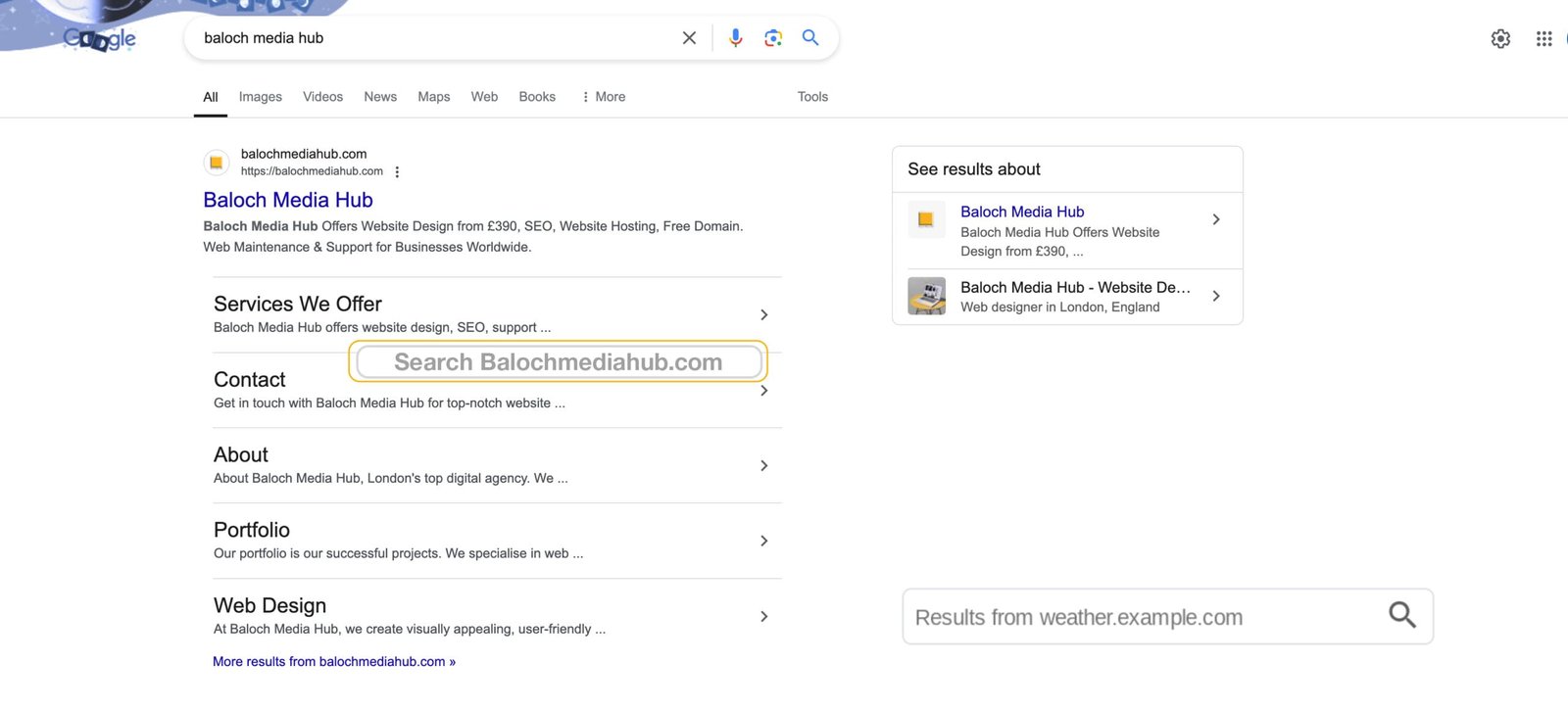 Google update Sitelinks Search Box